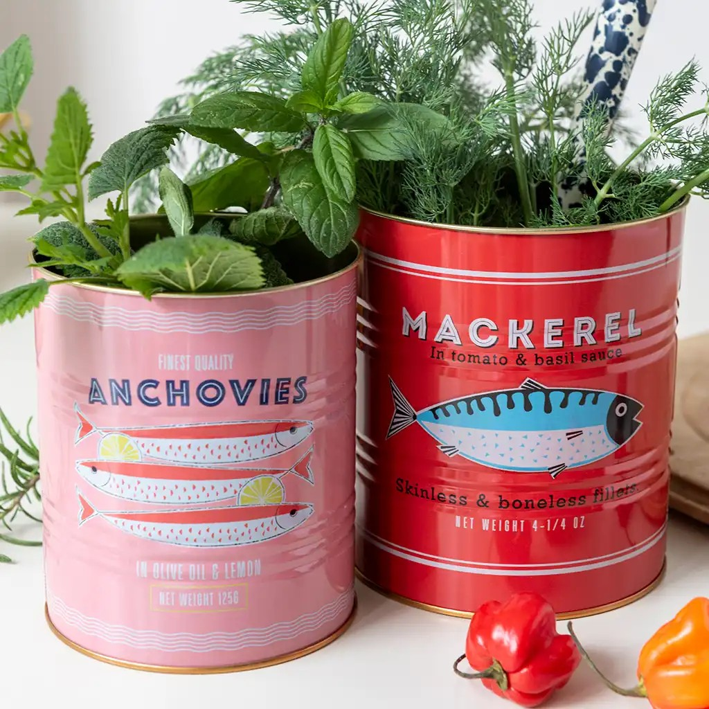 Retro Storage Tins - Mackerel & Anchovies (Set of 2)